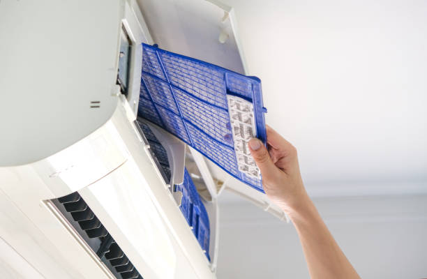 Best Air Duct Mold Removal  in Gardena, CA